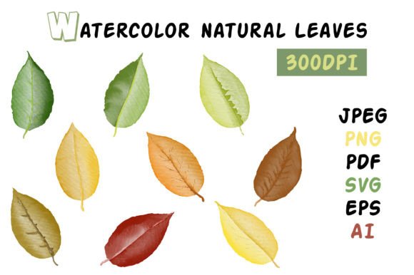 Cute Watercolor Leaves Set: A Creative Guide